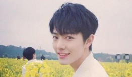 吃瓜爆料肖战恋情视频在线观看,吃瓜群众在线围观甜蜜瞬间